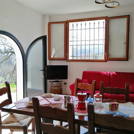 Casa Pancole Il Tinello Διαμέρισμα Cavriglia Εξωτερικό φωτογραφία